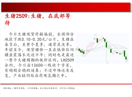 中天期货:商品指数停顿震荡 棕榈震荡  第4张