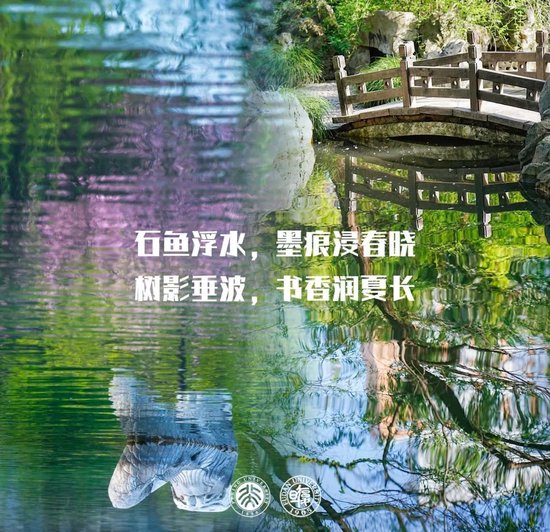 北大祝复旦，120岁生日快乐！  第15张