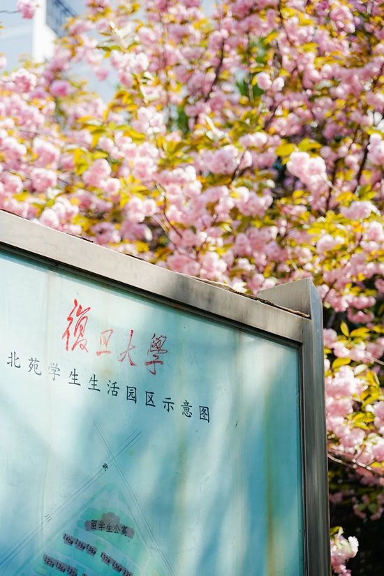 北大祝复旦，120岁生日快乐！  第28张