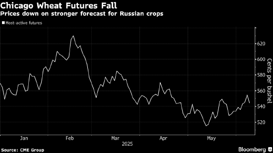 小麦价格从七周高点回落 受俄罗斯小麦产量前景影响  第1张