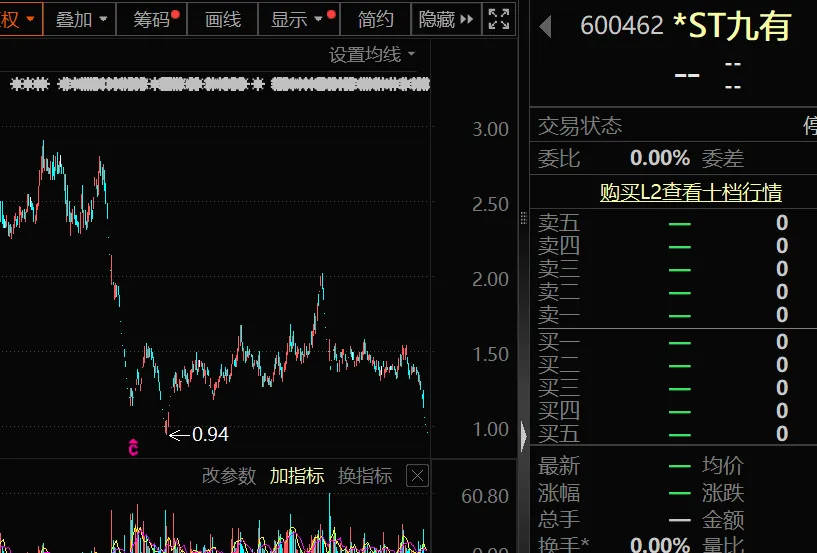 *ST九有退市 财务造假曝光！5月以来已有8家公司收到交易所终止上市决定  第3张