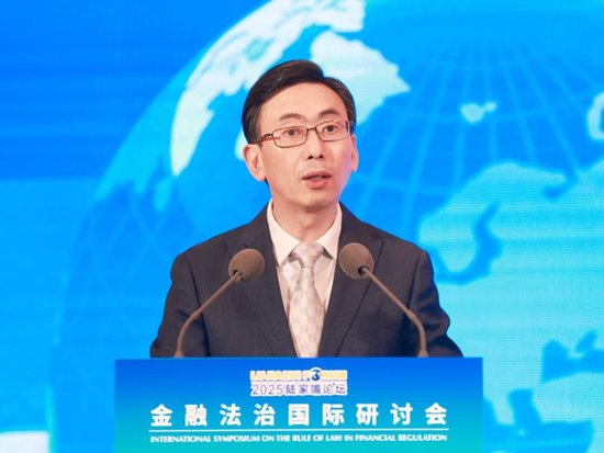 2025陆家嘴论坛“金融法治国际研讨会”举行 聚焦金融开放合作中的国际法治实践与展望  第17张