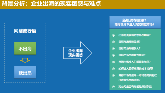 中国联合国采购促进会宋嘉：企业出海是一种战略选择  第1张