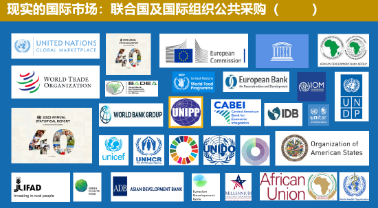 中国联合国采购促进会宋嘉：企业出海是一种战略选择  第4张