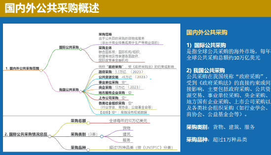 中国联合国采购促进会宋嘉：企业出海是一种战略选择  第5张