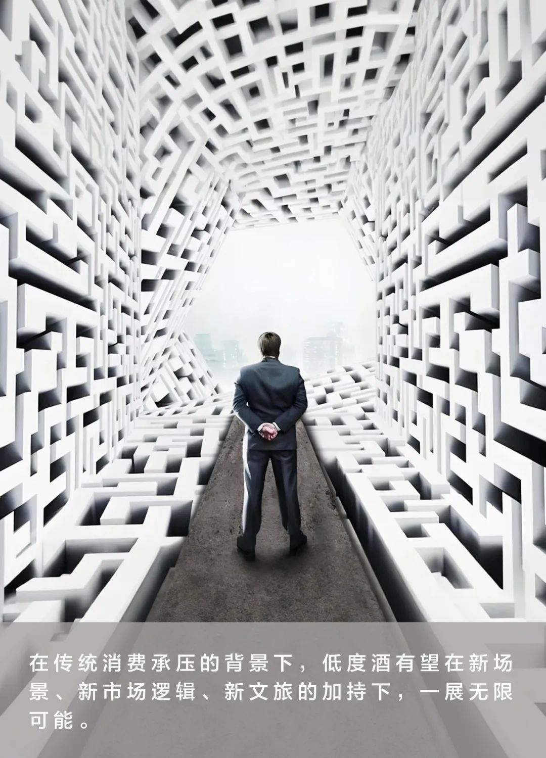 撕开“去品类化”口子,名酒低度化掀起“破界”浪潮 第1张 撕开“去品类化”口子,名酒低度化掀起“破界”浪潮 第1张