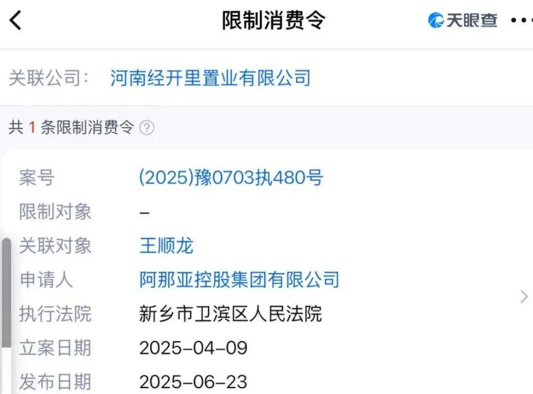 河南新乡“阿那亚分亚”没法打卡了!花了6万元仿建、又花了2万多元改建,仍被法院判决拆除 第9张 河南新乡“阿那亚分亚”没法打卡了!花了6万元仿建、又花了2万多元改建,仍被法院判决拆除 第9张
