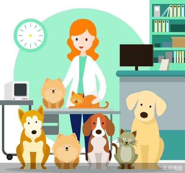 多家公司步入清算 宠物行业洗牌加速 第1张 多家公司步入清算 宠物行业洗牌加速 第1张