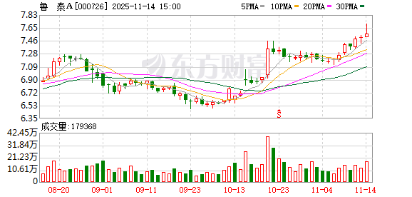 鲁泰A:公司目前在埃及没有投资项目 第1张 鲁泰A:公司目前在埃及没有投资项目 第1张