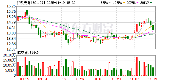 武汉天源：截至2025年10月31日公司股东人数为15819户  第1张