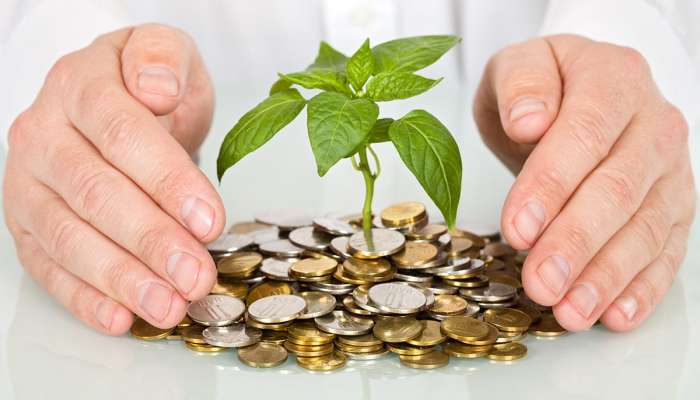 400亿转型金融落地 广东发布2项转型金融标准助力低碳转型  第1张