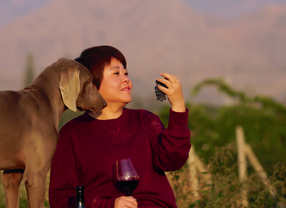 两周爆卖10万瓶,木兰朵的葡萄酒爆款逻辑是什么? 第4张 两周爆卖10万瓶,木兰朵的葡萄酒爆款逻辑是什么? 第4张