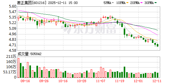 君正集团：公司严格按照《企业会计准则》等有关规定编制财务报表  第1张