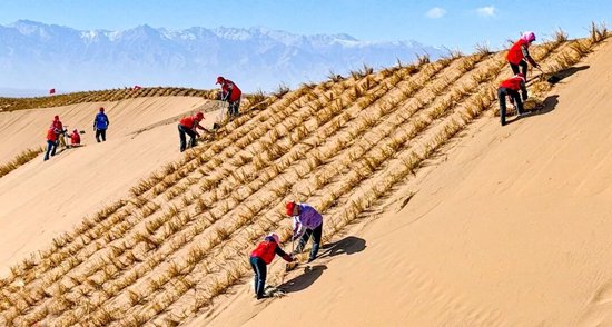 人民日报钟才平，连续五日发声！  第5张