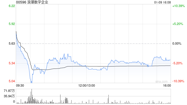 浪潮数字企业因期权获行使而发行28.2万股  第1张