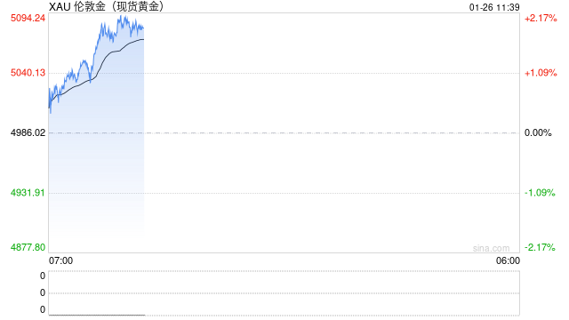 突破5000美元关口！金价再创新高  第2张