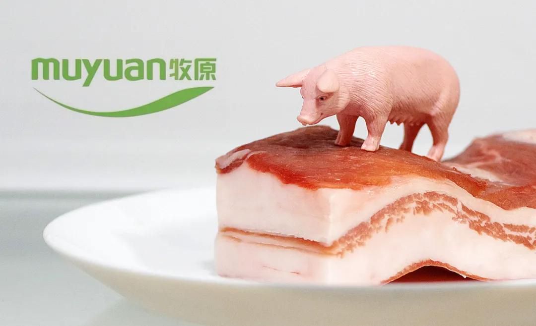 牧原食品开启招股:拟募资100亿 2月6日上市 预计年净利同比降15% 第3张 牧原食品开启招股:拟募资100亿 2月6日上市 预计年净利同比降15% 第3张