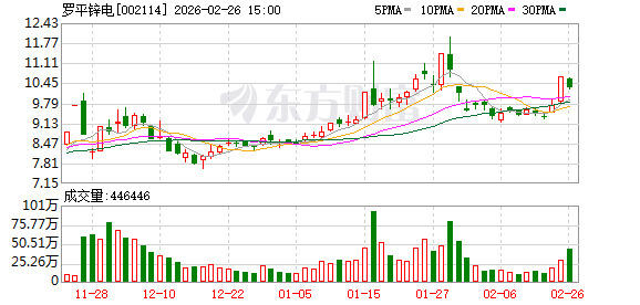 罗平锌电：截至2026年2月13日公司股东人数为48583户  第1张