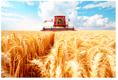 “十五五”开局,农业板块迎来“政策+周期”双重驱动 第1张 “十五五”开局,农业板块迎来“政策+周期”双重驱动 第1张