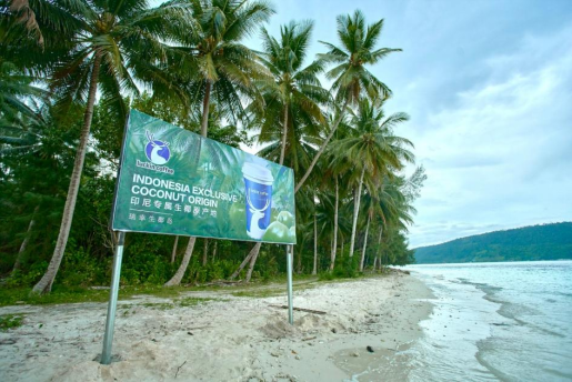 瑞幸生椰拿铁上市五周年,全球销量突破20亿杯 第1张 瑞幸生椰拿铁上市五周年,全球销量突破20亿杯 第1张