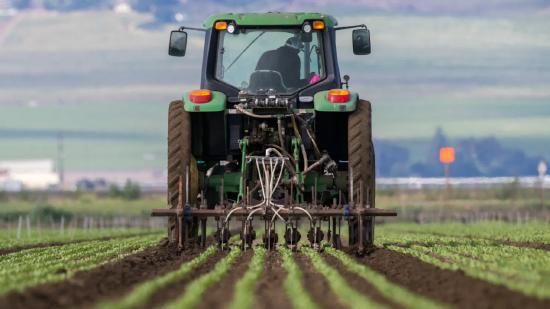 从战争到气候:“超级厄尔尼诺”事件或将给全球粮食成本带来新风险 第3张 从战争到气候:“超级厄尔尼诺”事件或将给全球粮食成本带来新风险 第3张